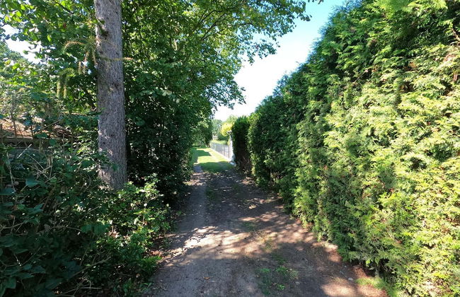 Holiday Home, Luebben - Foto 36