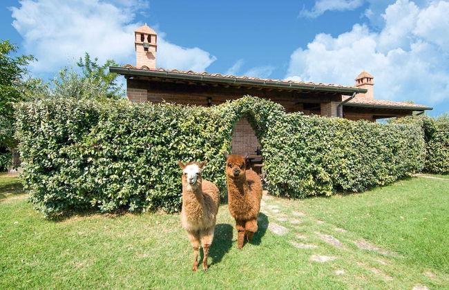 Holiday Home in Castiglione del With Pool - Foto 65