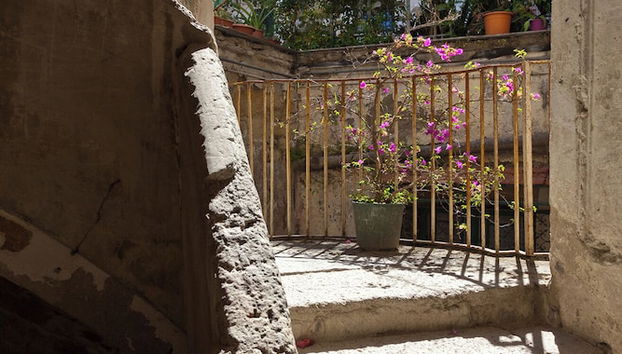 Entrada (vista interior)