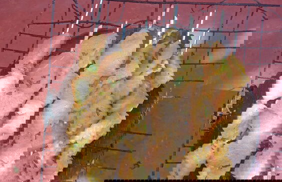 Dar Dahssin - Photo 5