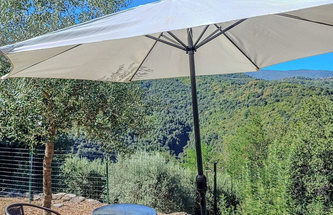 Casale I Cirillo: Primula & Iberide Florida - Foto 54