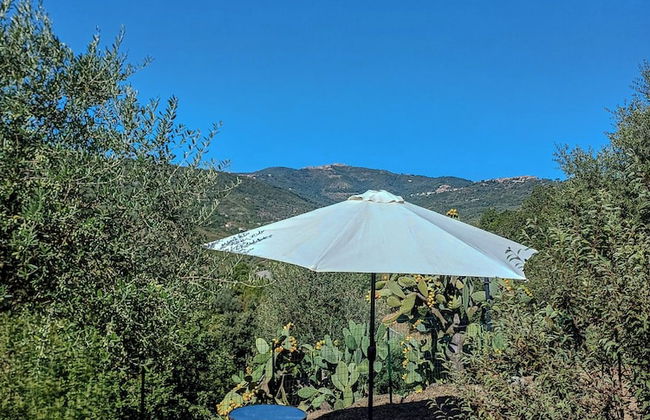 Casale I Cirillo: Primula & Iberide Florida - Foto 60