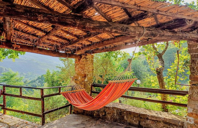 Casale I Cirillo: Primula & Iberide Florida - Foto 36