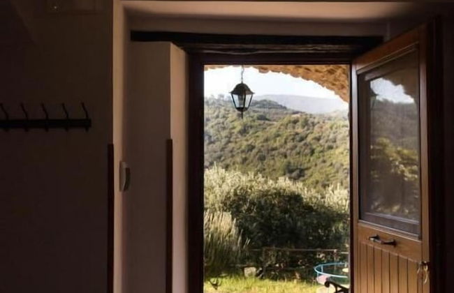 Casale I Cirillo: Primula & Iberide Florida - Foto 2