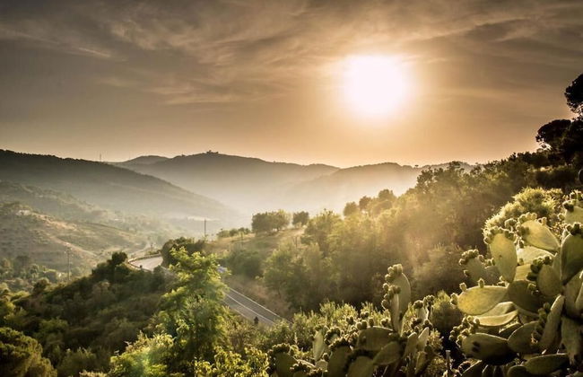 Casale I Cirillo: Primula & Iberide Florida - Foto 62