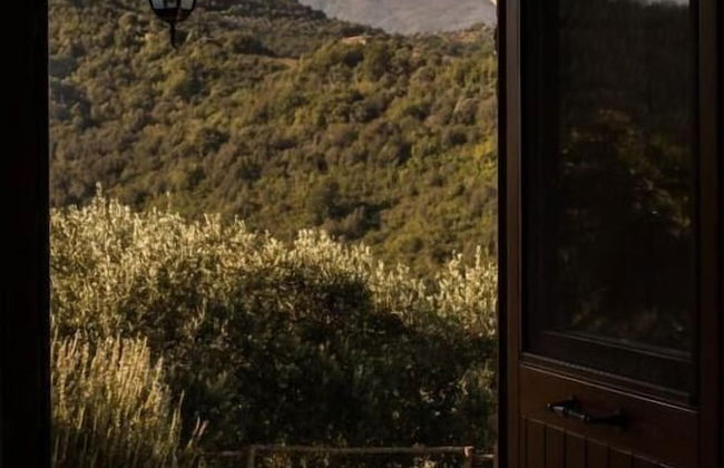 Casale I Cirillo: Primula & Iberide Florida - Foto 1