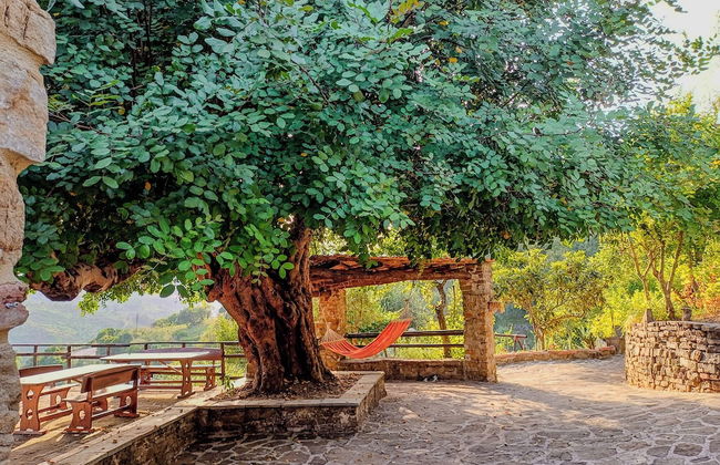 Casale I Cirillo: Primula & Iberide Florida - Foto 35