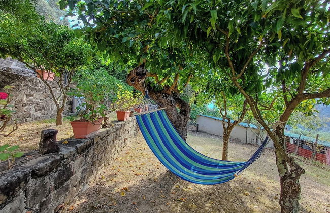 Casale I Cirillo: Primula & Iberide Florida - Foto 52