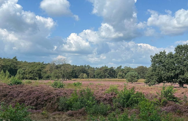 Stay at This Beautiful Accommodation in De Kiel - Foto 21