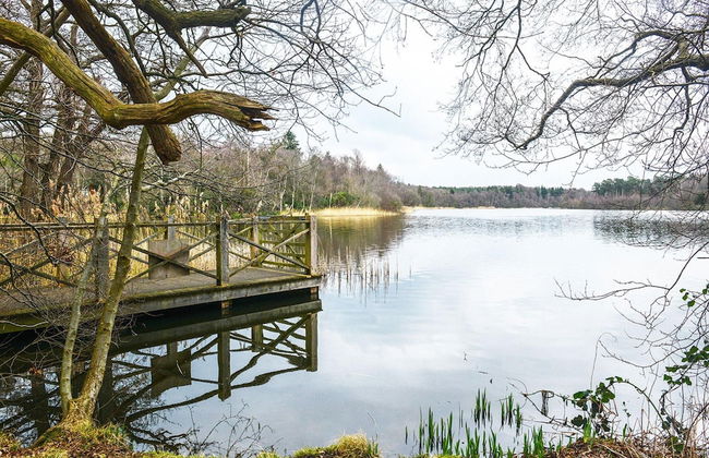 Holiday Home Lake View, Zemitz - Foto 46