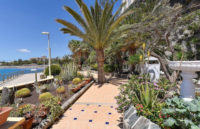 Studio in Gran Canaria Near Golden Beaches - Photo 21
