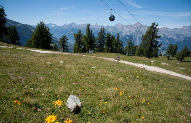 Mountain Escape With Fireplace - Foto 13