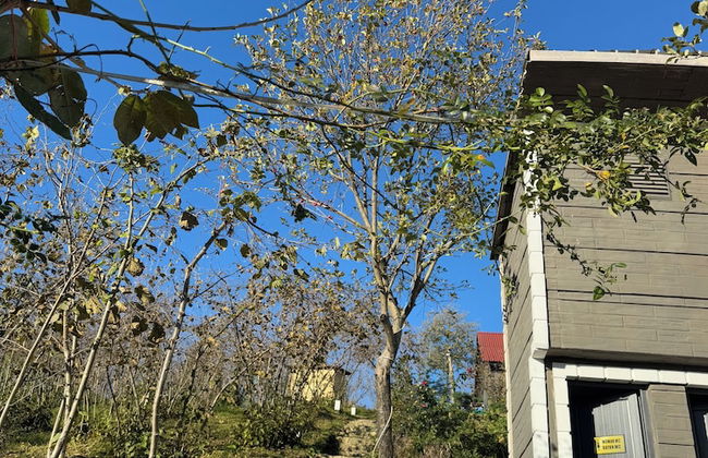 Santavera Bungalov - Photo 25