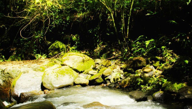 Imagem principal
