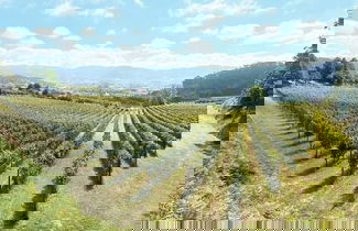 Foto 1 - Quinta Picouto de Cima