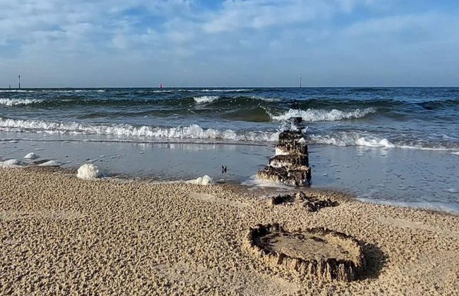 Pet-friendly Escape by the Sea - Foto 22
