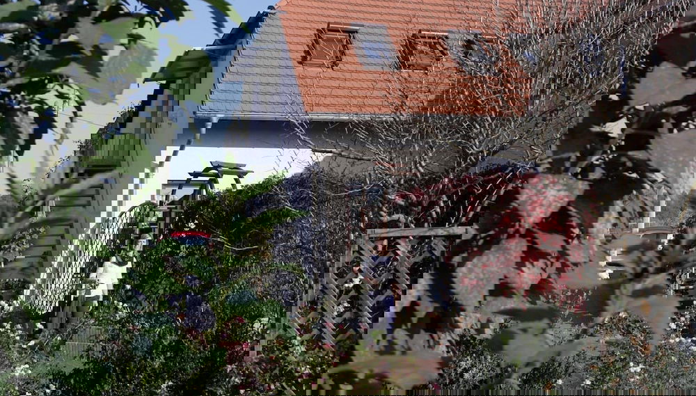 Imagem principal