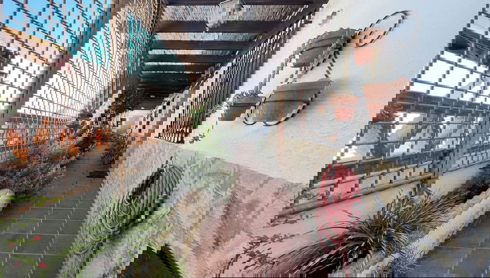 Imagem principal