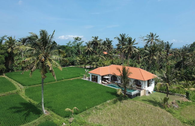 Lena Villa - 3 Bedrooms - Foto 42