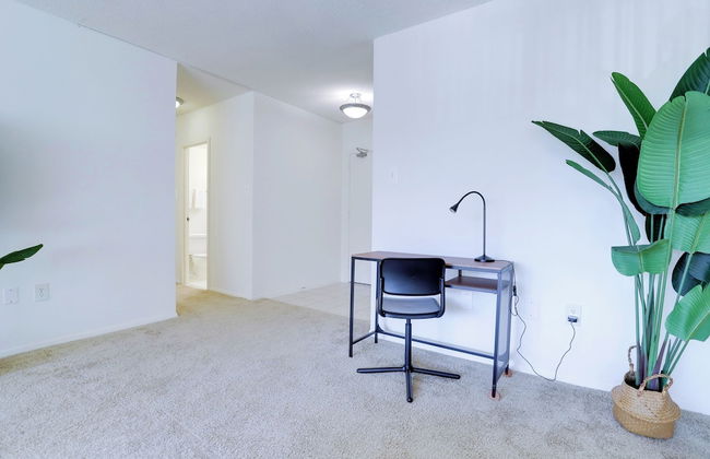 Spacious 2BR Apartment in Crystal City - Foto 15