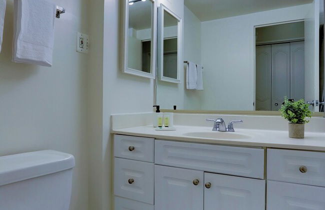 Spacious 2BR Apartment in Crystal City - Foto 33