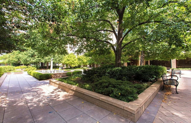 Spacious 2BR Apartment in Crystal City - Foto 47