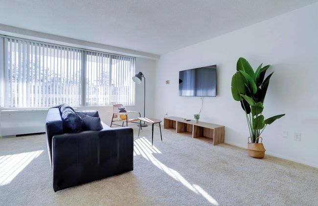 Spacious 2BR Apartment in Crystal City - Foto 16