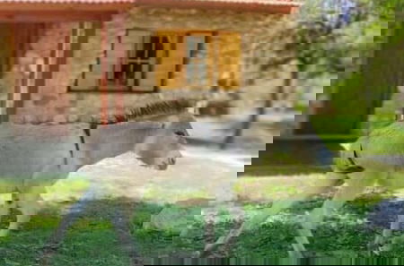 Foto 59 - Cabañas La Morada