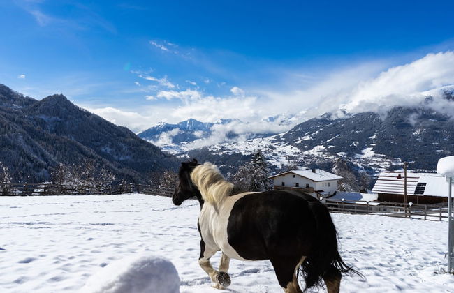 Apartment in Kaunerberg Near Ski Resort - Foto 21