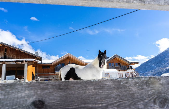 Apartment in Kaunerberg Near Ski Resort - Foto 17