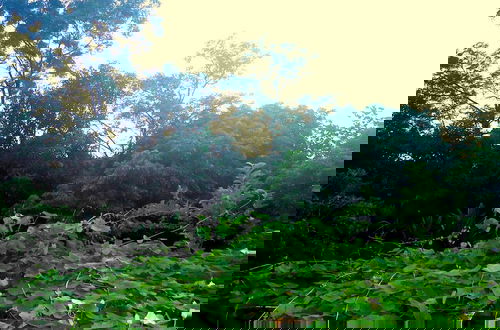 Foto 32 - Green Space Homestay