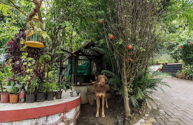 CosmicStays Windchime Homestay at Mulshi - Foto 55