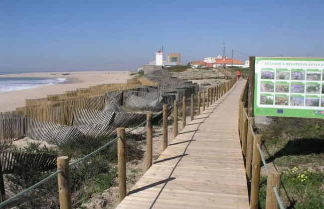 Miramar on Beach View Villa - Foto 75