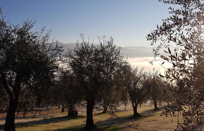 Il Borgo di Villa Cellaia - Foto 79