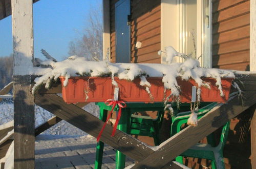 Foto 6 - Baza otdykha Tikhiy Bereg