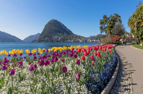 Photo 25 - Casa Basilico in Lugano