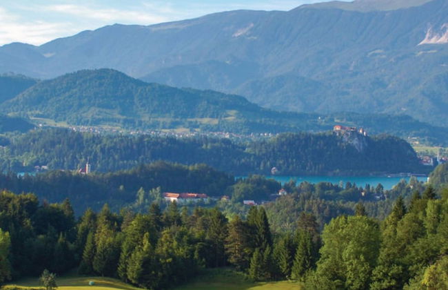 Chalet Kupljenik Near Bled Lake - Foto 53