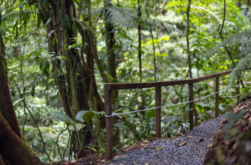 Photo 29 - Cabañas Caeli Rainforest Glass Cabin El Congo La Fortuna