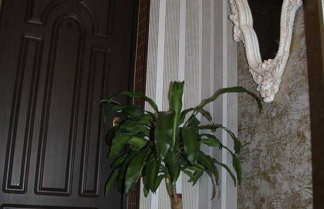 Apartament Oliviya - Foto 7