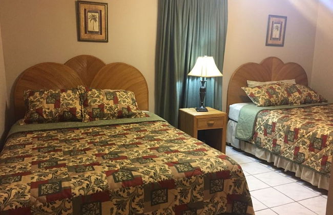 Paradise Villa Palma Real - Photo 2