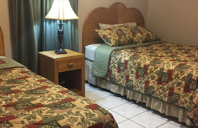 Paradise Villa Palma Real - Photo 3