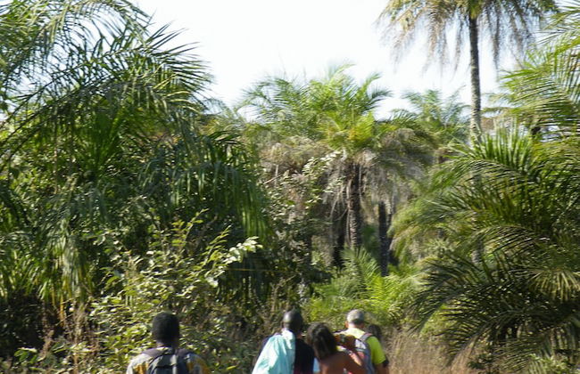 Kounakito - Meaning 'welcome' - Foto 15