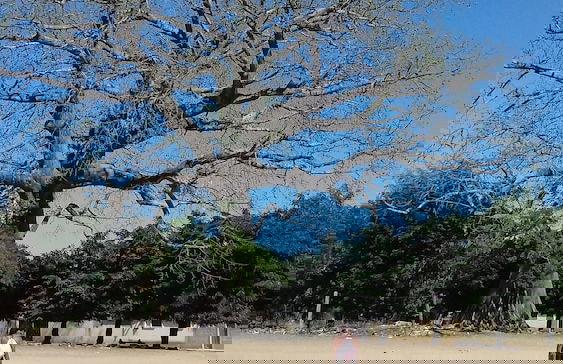 Kounakito - Meaning 'welcome' - Foto 17