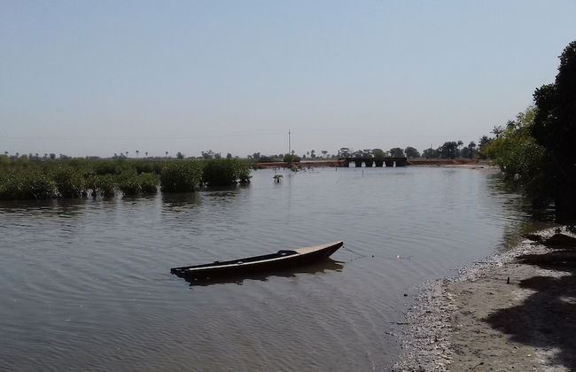 Kounakito - Meaning 'welcome' - Foto 26