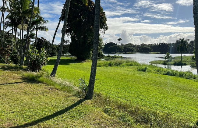 Stunning Views Best Locale Hilo 2BRCondo - Foto 38