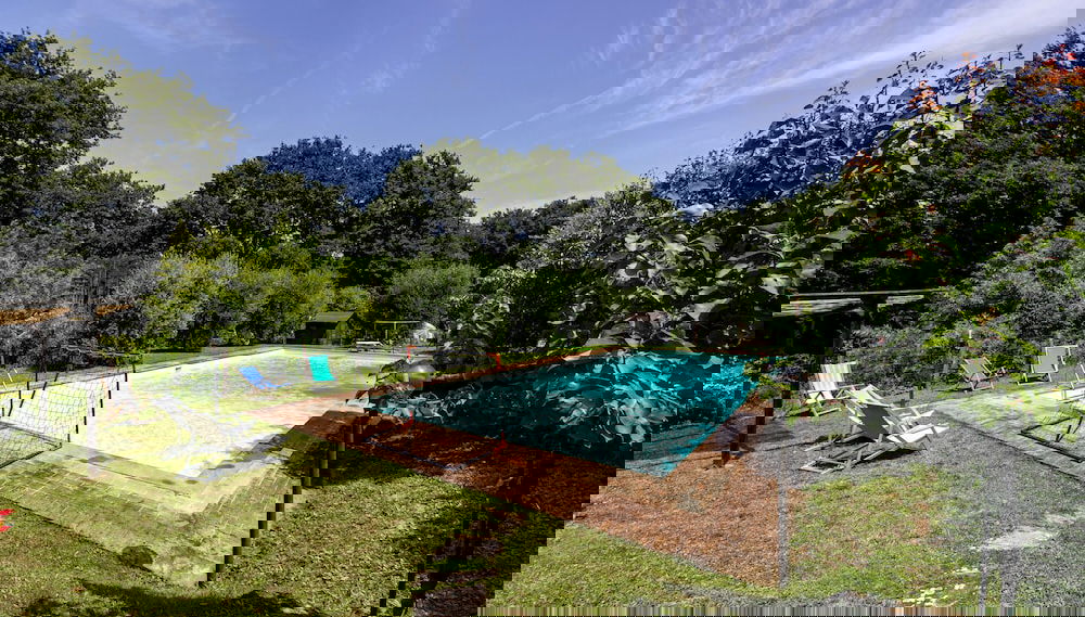 Image principale
