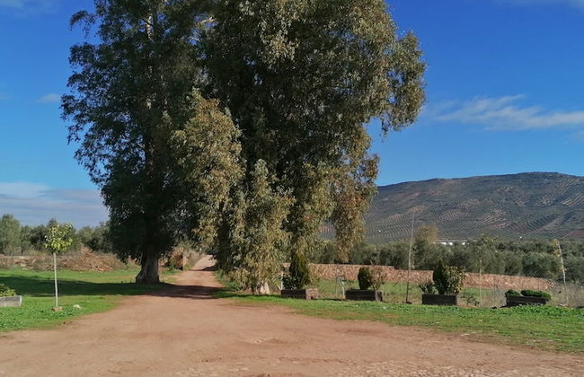 Cortijo Vizconde - Foto 58