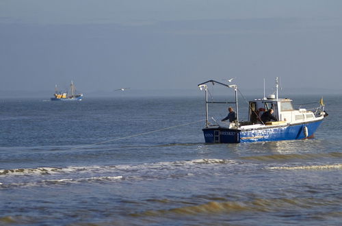 Photo 30 - Quaint Holiday Home in Nieuwvliet-Bad near Sea Beach