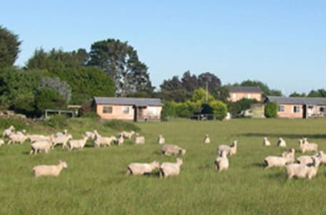 Photo 38 - AAA Granary Accommodation