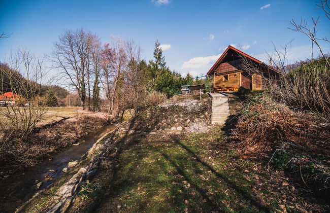 Wooden Cabin Žurej With Hot Tub - Photo 30